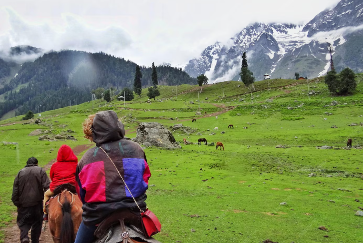 best taxi service in srinagar for tourists