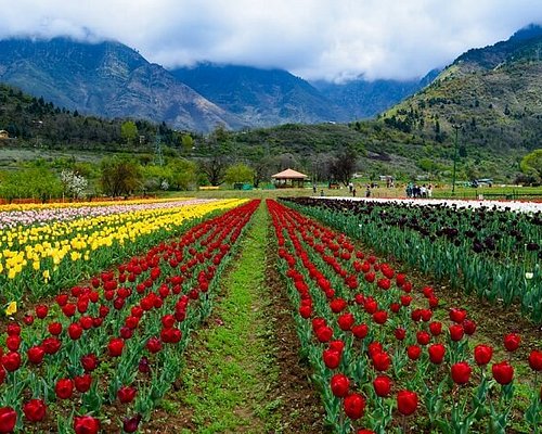 Kashmir Rental Taxi
